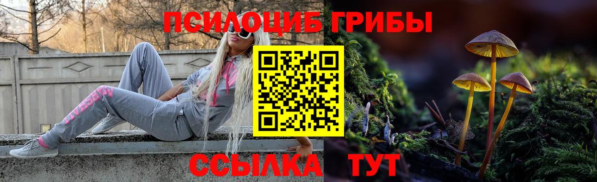 Галлюциногенные грибы мицелий Барабинск